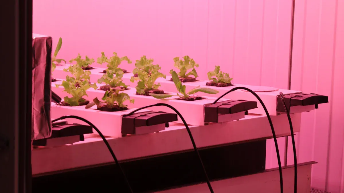 آیا چراغ های رشد عمودی واقعا می توانند به رشد بهتر گیاهان شما کمک کنند